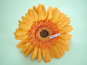 自宅できりたんぽを楽しみたいなら