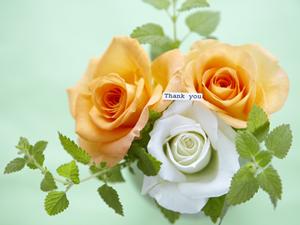 オリジナルグッズ制作ならZACKKAへ